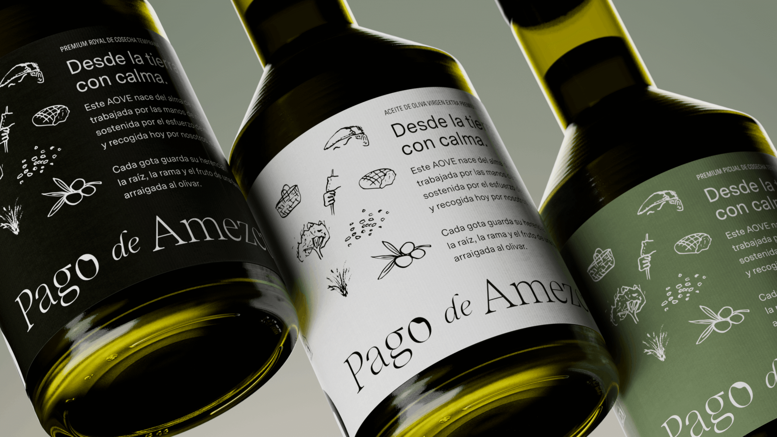 Packaging premium para AOVE Pago de Amezcua con botellas de aceite y diseño editorial minimalista
